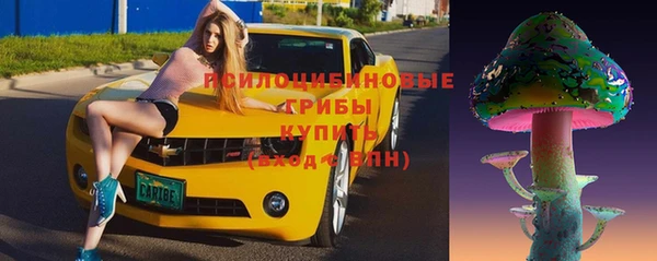 гашик Инсар