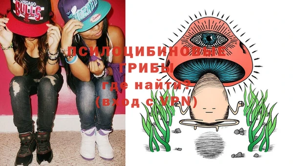 кокс Каменка