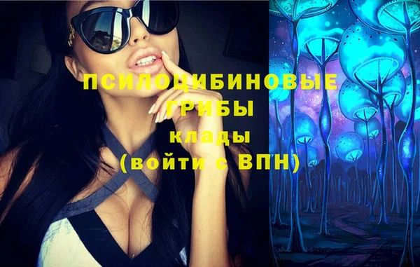 гашик Инсар