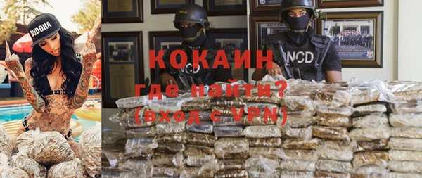 гашик Инсар