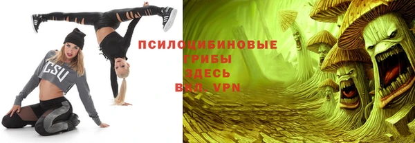 гашик Инсар