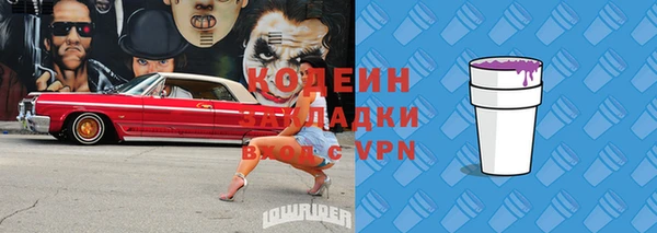 гашик Инсар