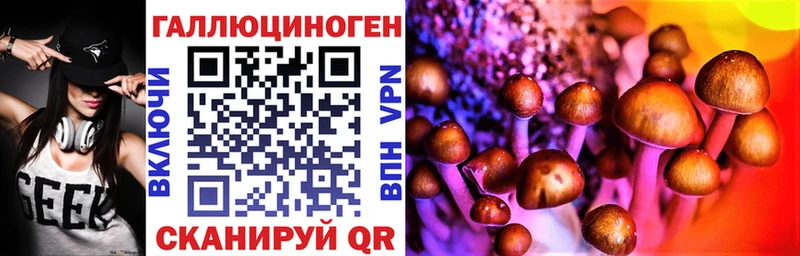 Купить закладки  Североморск  Псилоцибиновые грибы прущие грибы 